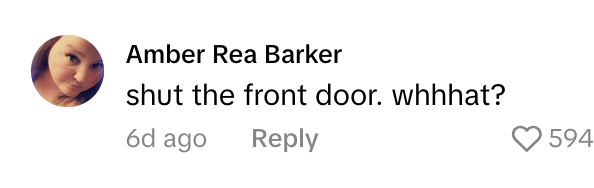 TikTok comment